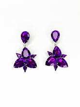 Load image into Gallery viewer, Diva - Clip On Earrings